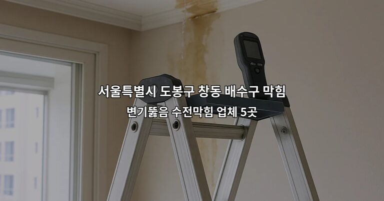 서울특별시 도봉구 창동 배수구 막힘 변기뚫음 수전막힘 업체 5곳