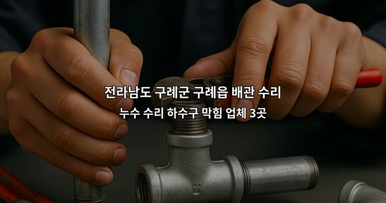 전라남도 구례군 구례읍 배관 수리 누수 수리 하수구 막힘 업체 3곳