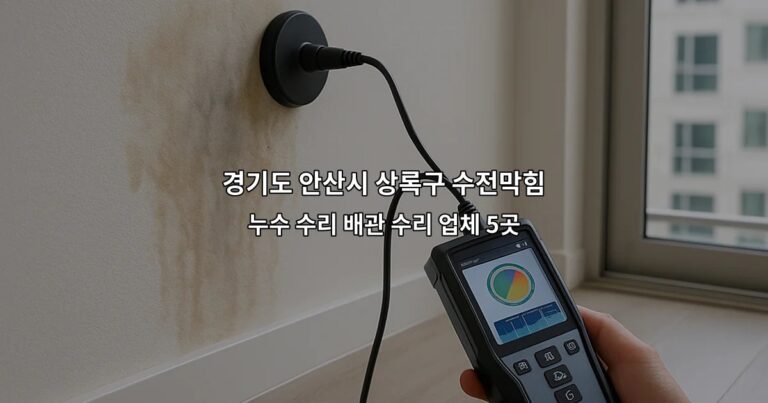 경기도 안산시 상록구 수전막힘 누수 수리 배관 수리 업체 5곳