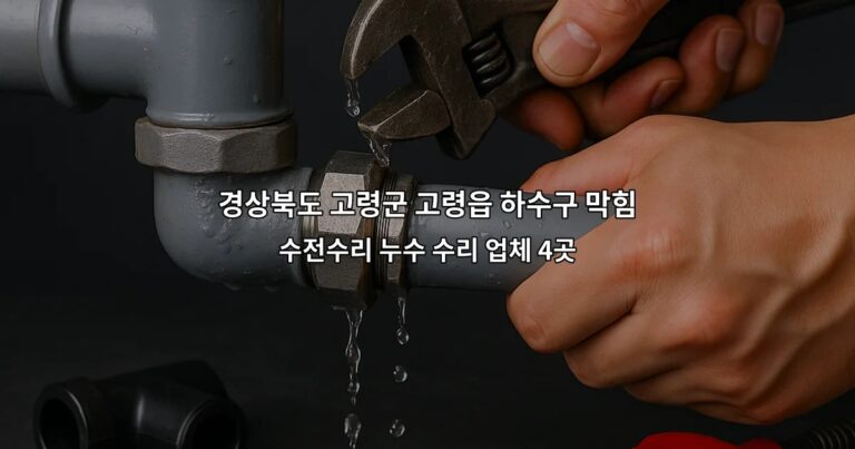 경상북도 고령군 고령읍 하수구 막힘 수전수리 누수 수리 업체 4곳