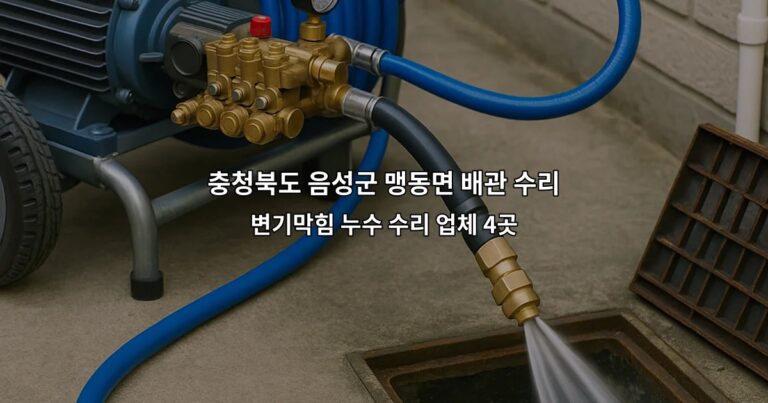 충청북도 음성군 맹동면 배관 수리 변기막힘 누수 수리 업체 4곳