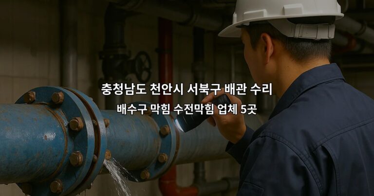 충청남도 천안시 서북구 배관 수리 배수구 막힘 수전막힘 업체 5곳