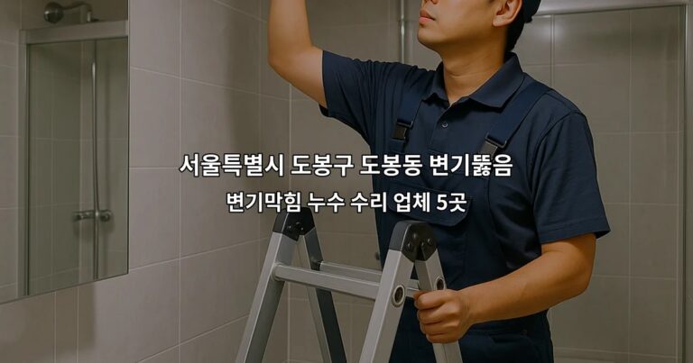 서울특별시 도봉구 도봉동 변기뚫음 변기막힘 누수 수리 업체 5곳