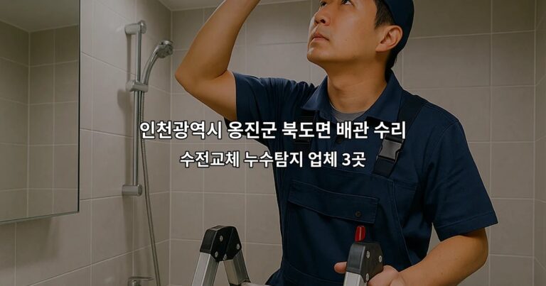 인천광역시 옹진군 북도면 배관 수리 수전교체 누수탐지 업체 3곳