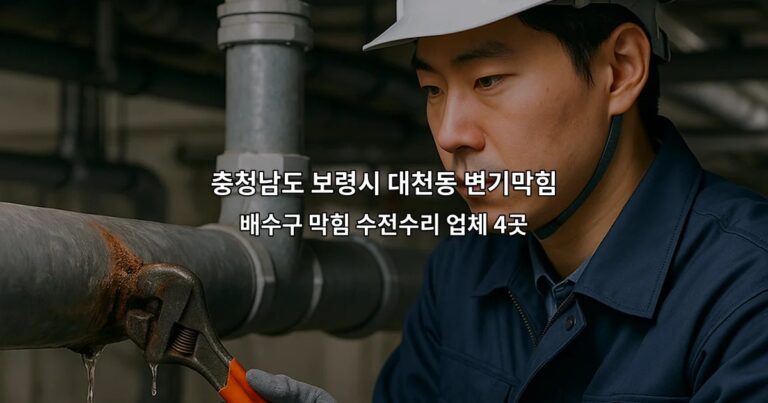 충청남도 보령시 대천동 변기막힘 배수구 막힘 수전수리 업체 4곳