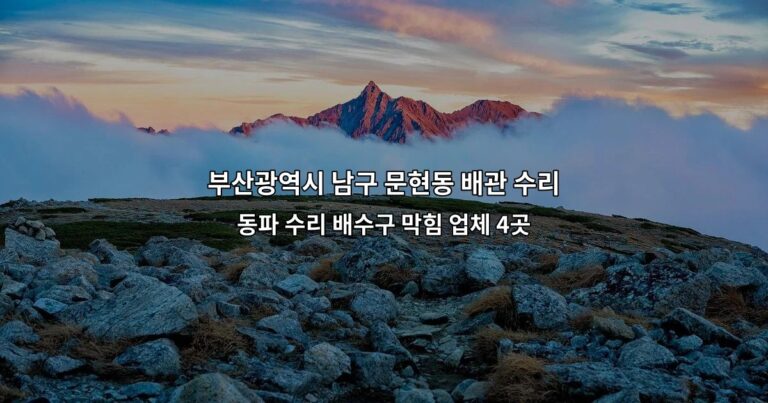부산광역시 남구 문현동 배관 수리 동파 수리 배수구 막힘 업체 4곳