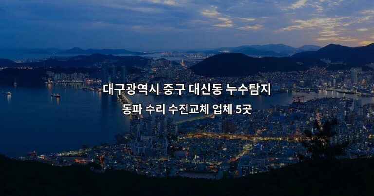 대구광역시 중구 대신동 누수탐지 동파 수리 수전교체 업체 5곳